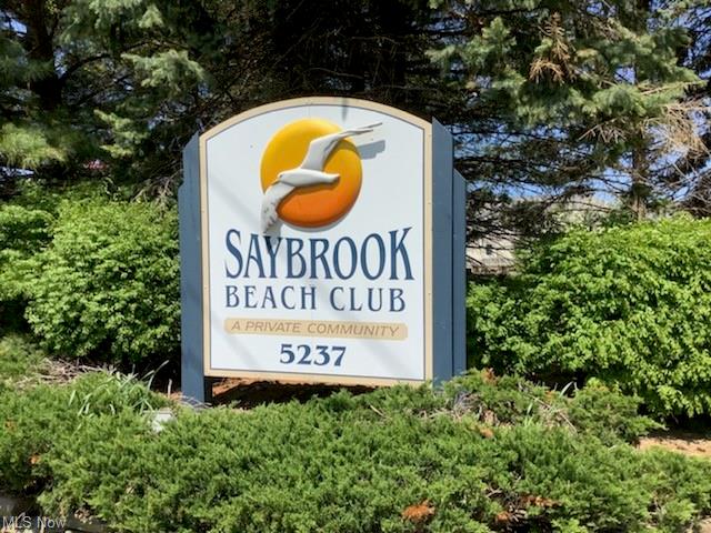Saybrook Township